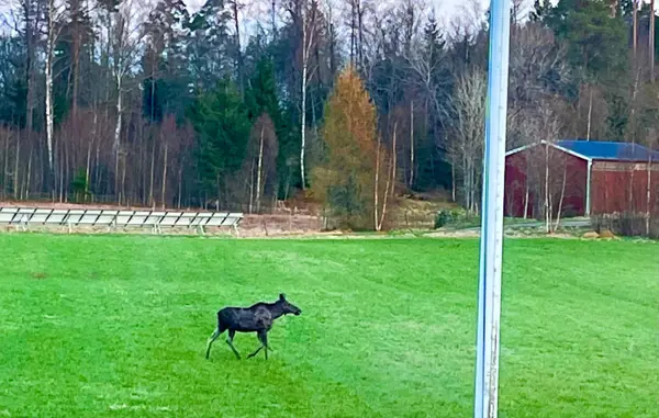 Bild 12 von 18