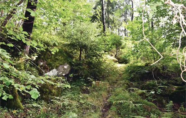 Bild 13 von 13