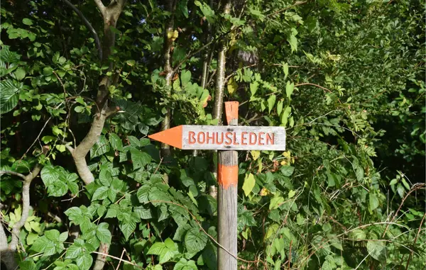Bild 8 von 15