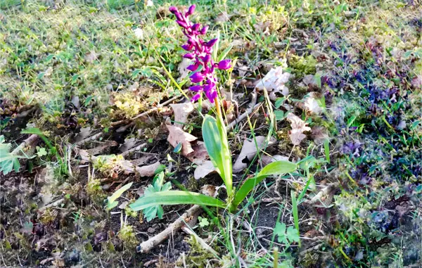 Bild 34 von 35