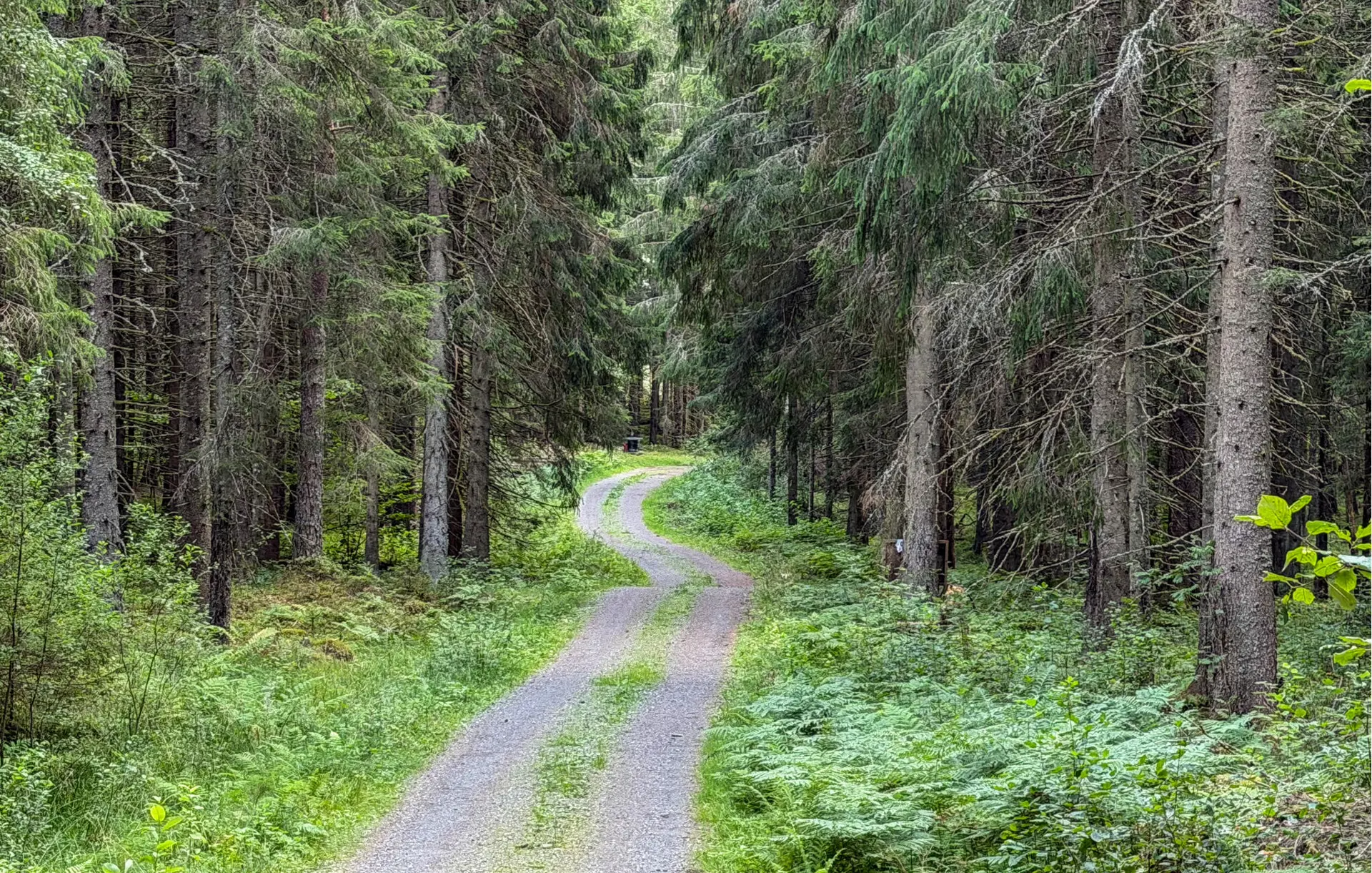 Bild 8 von 22