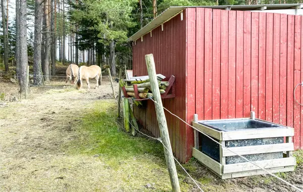 Bild 6 von 18
