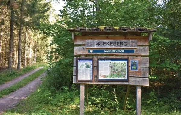 Bild 29 von 30