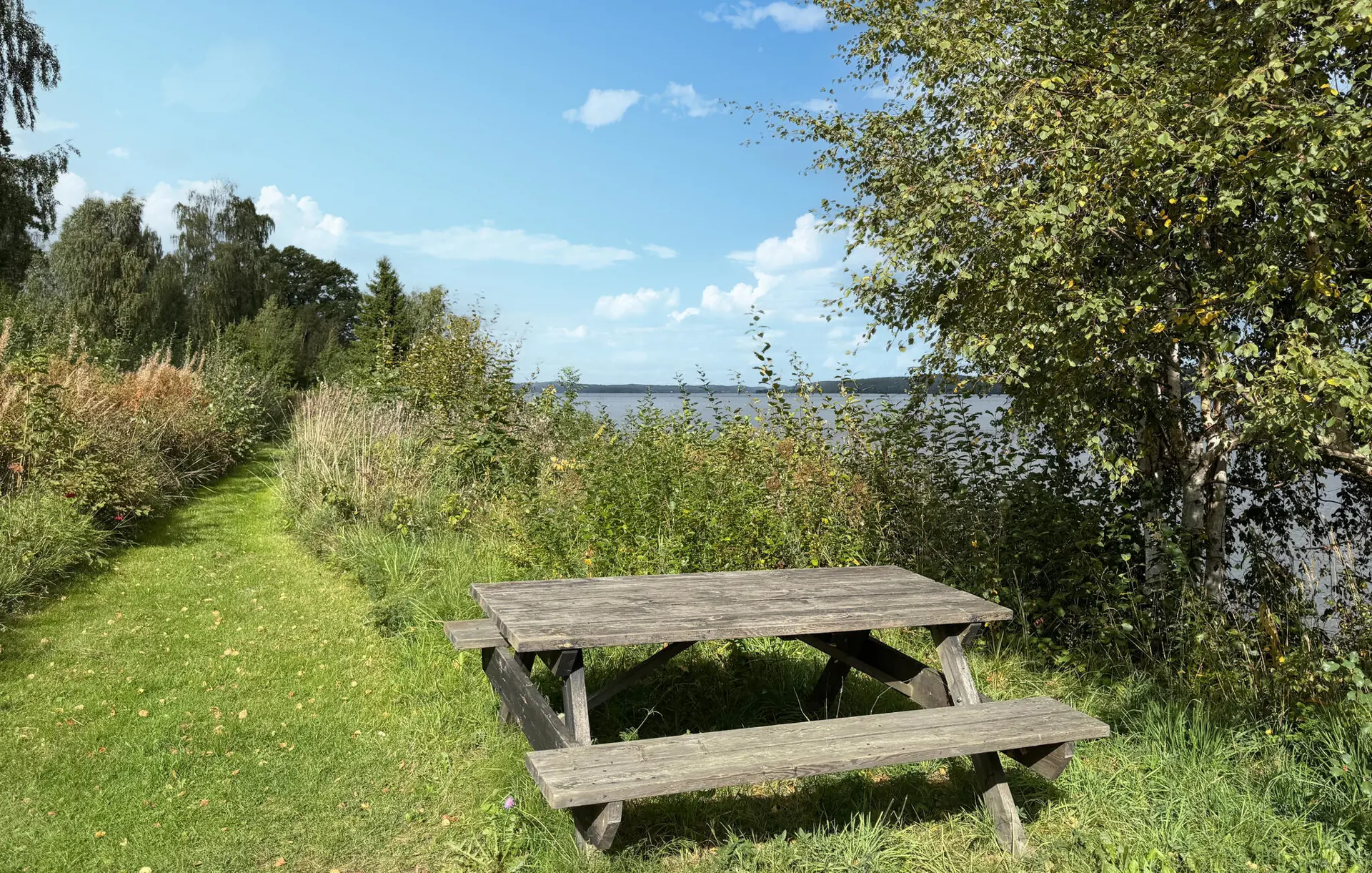 Bild 36 von 36
