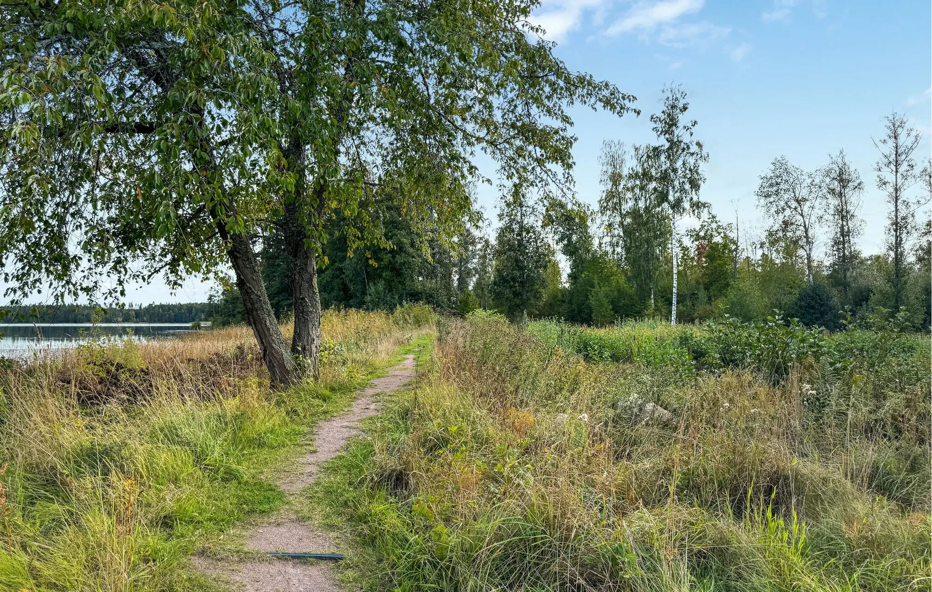 Ferienhaus S60412 in Visjö Ängsvägen 3, Ödeshög | Bild 24 von 24