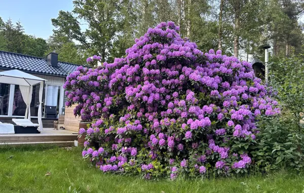 Ferienhaus S60414 in Bokvägen 7, Motala | Bild 10 von 18