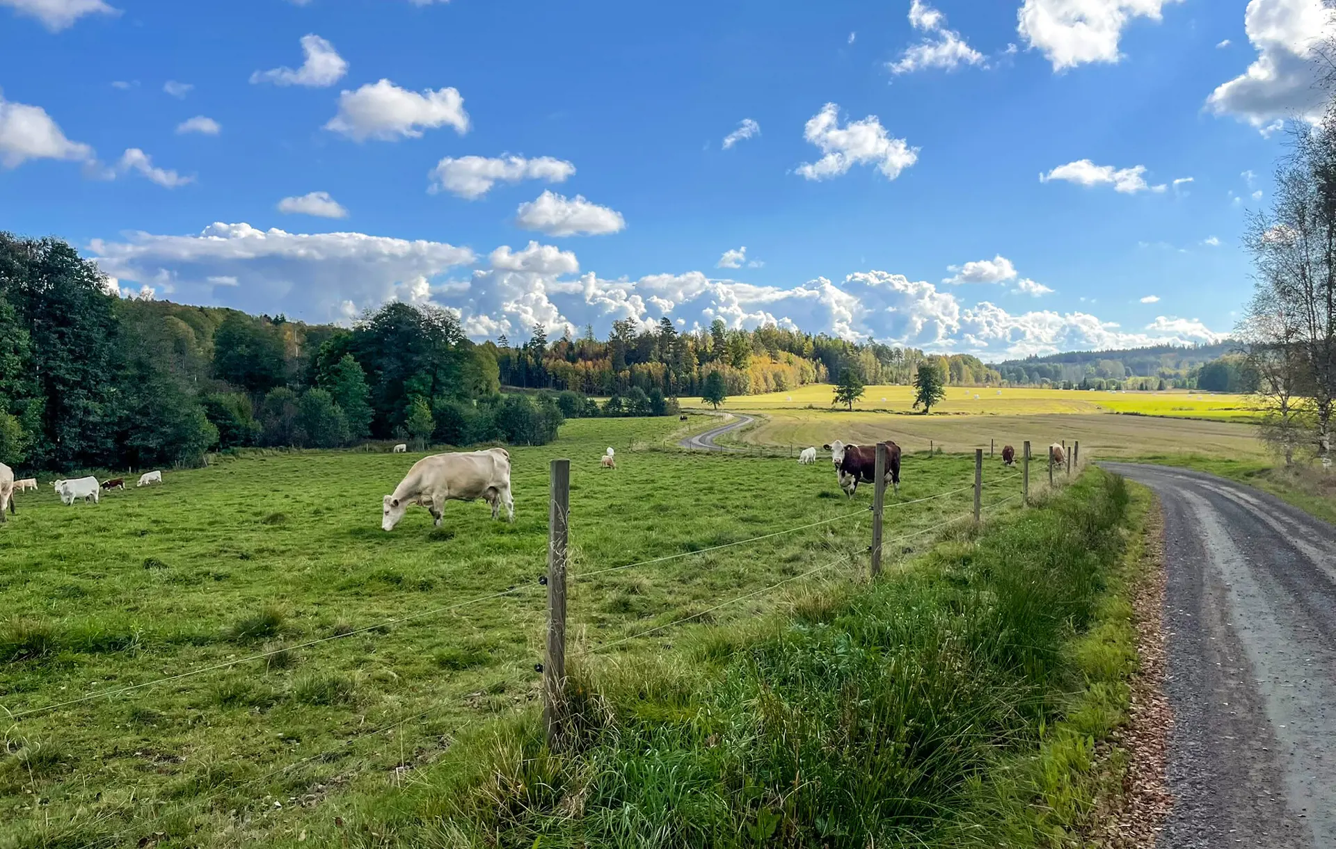Bild 20 von 21
