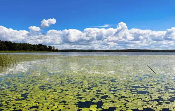 Bild 20 von 23