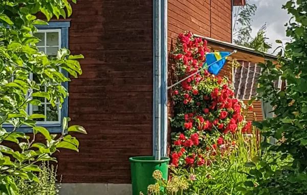 Bild 10 von 16