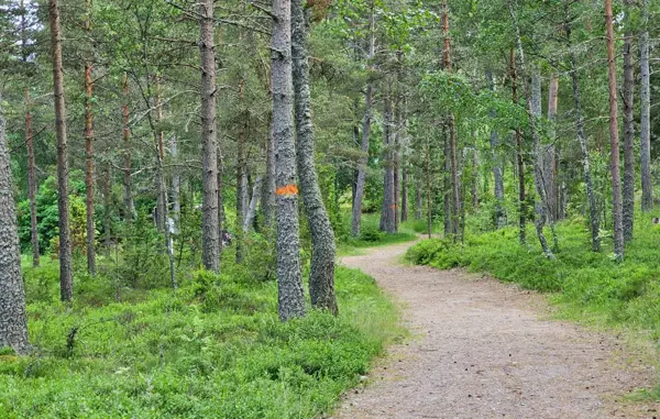 Bild 15 von 17