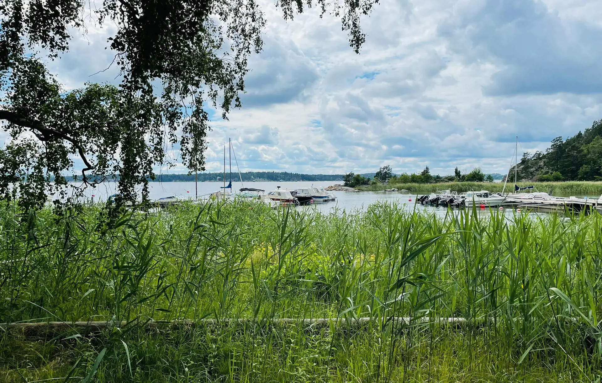 Bild 32 von 32