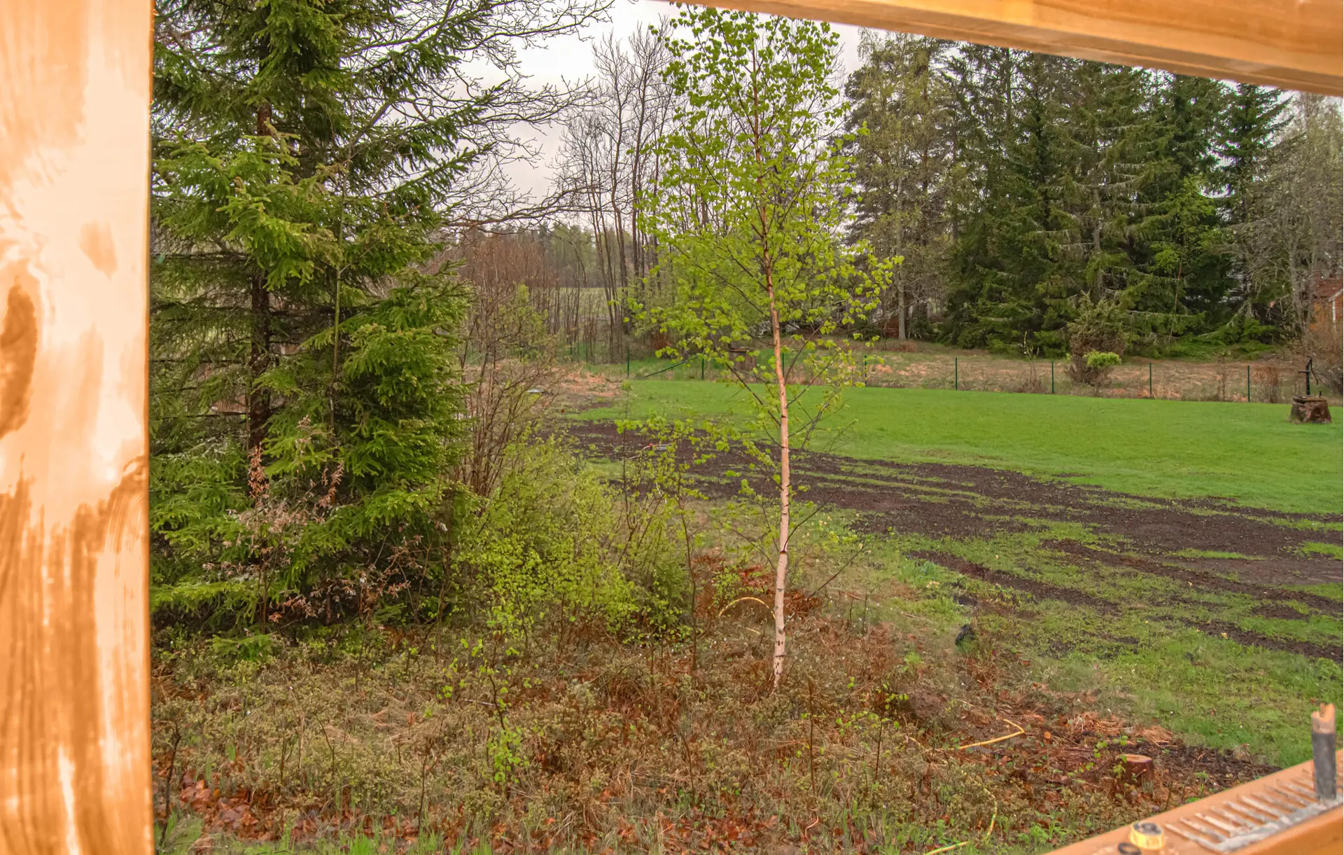 Bild 8 von 14