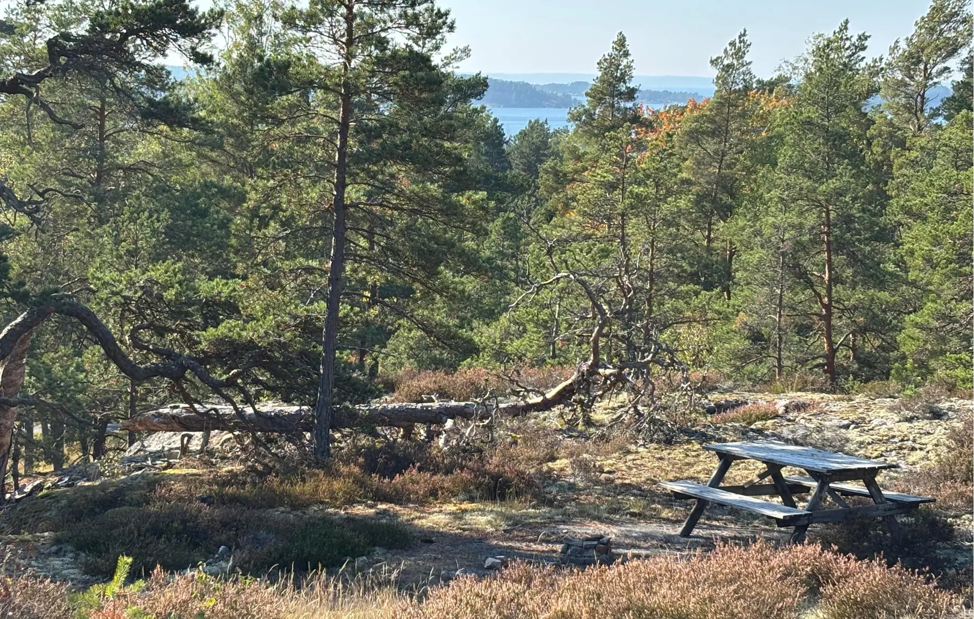 Ferienhaus S70514 in Södra Storskogen 279, Ornö | Bild 4 von 22
