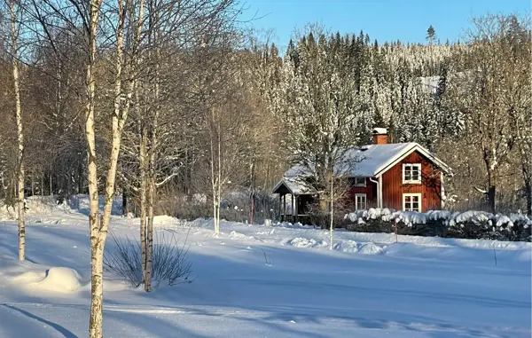 Ferienhaus S73342 in Filipstad / Värmland