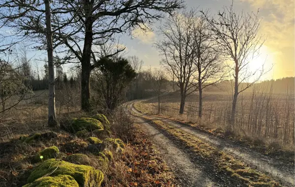 Bild 14 von 15