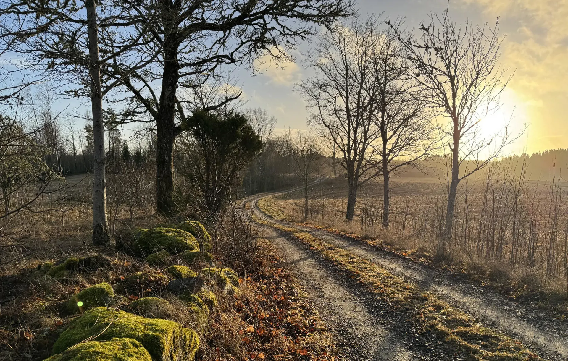 Bild 20 von 22