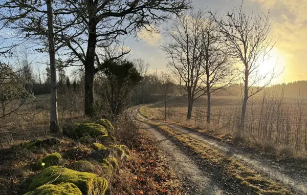 Bild 8 von 23