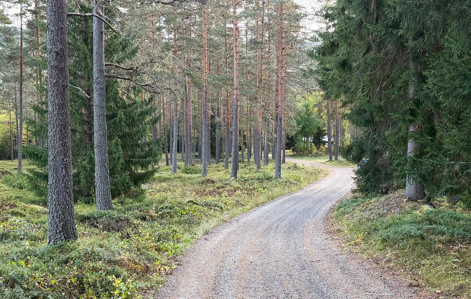 Ferienhaus S73628 in Klarälvsbyn 7, Sysslebäck | Bild 18 von 18