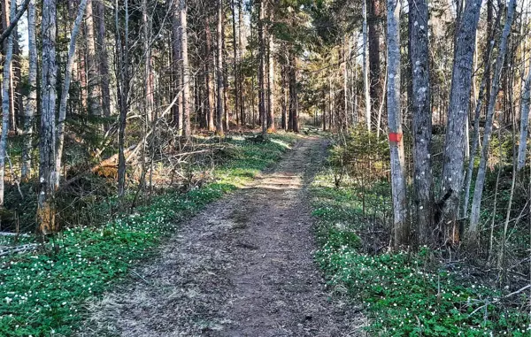 Bild 30 von 32