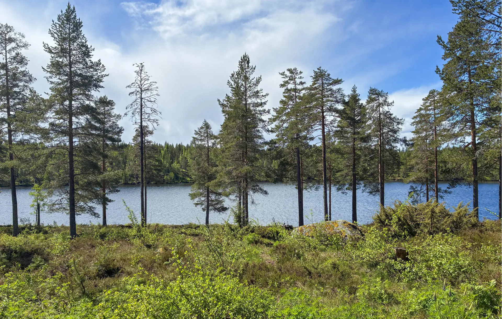 Ferienhaus S87104 in Mårdnästorp 7371, Åmotsbruk | Bild 17 von 30