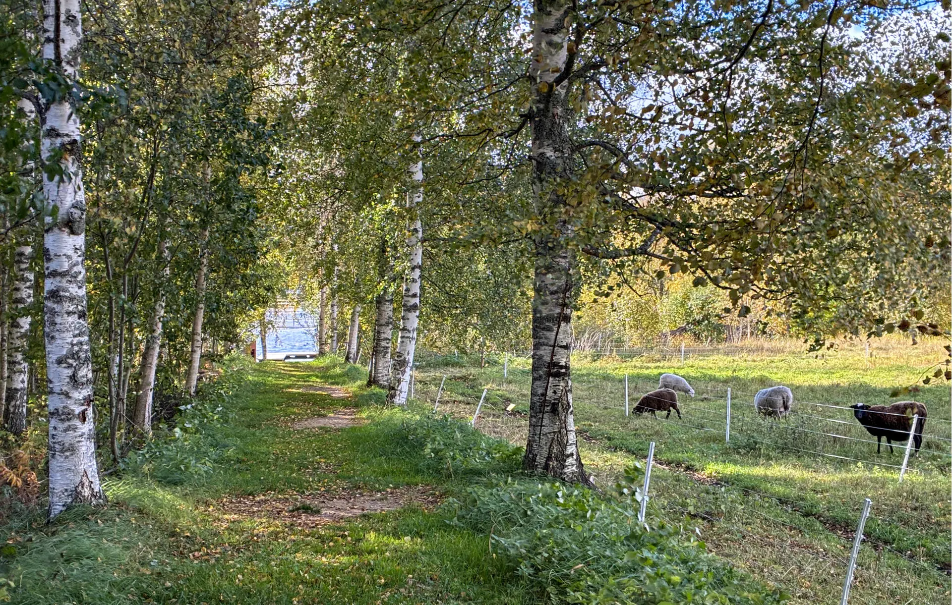 Ferienwohnung S87117 in Jädraåsvägen 37, Jädraås | Bild 33 von 37